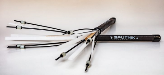 Sputniks